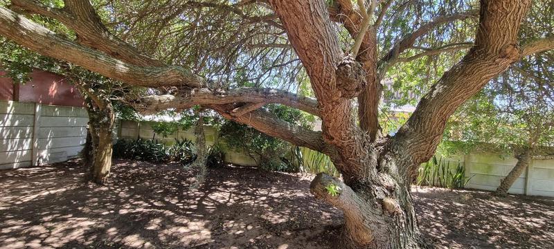 2 Bedroom Property for Sale in Fraaiuitsig Western Cape